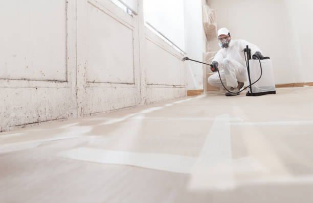 24/7 Emergency Black Mold Removal experts in Zebulon, NC