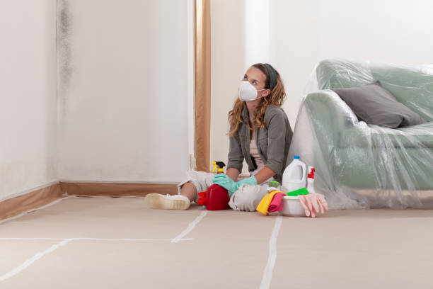 Reliable Black Mold Removal contractor in Zebulon, NC by WQB Mold Removal